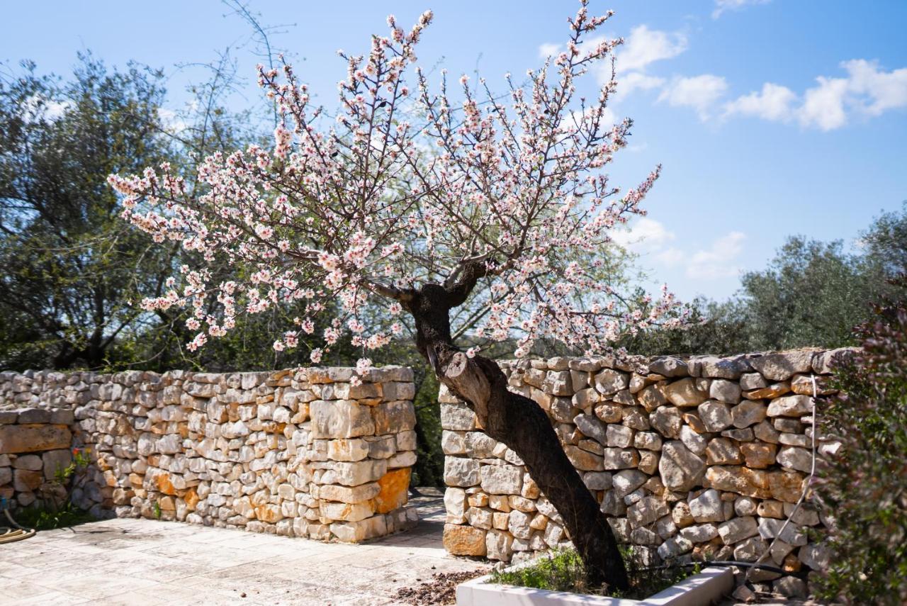 Masseria Montepaolo Dimora Di Charme Конверсано Екстер'єр фото