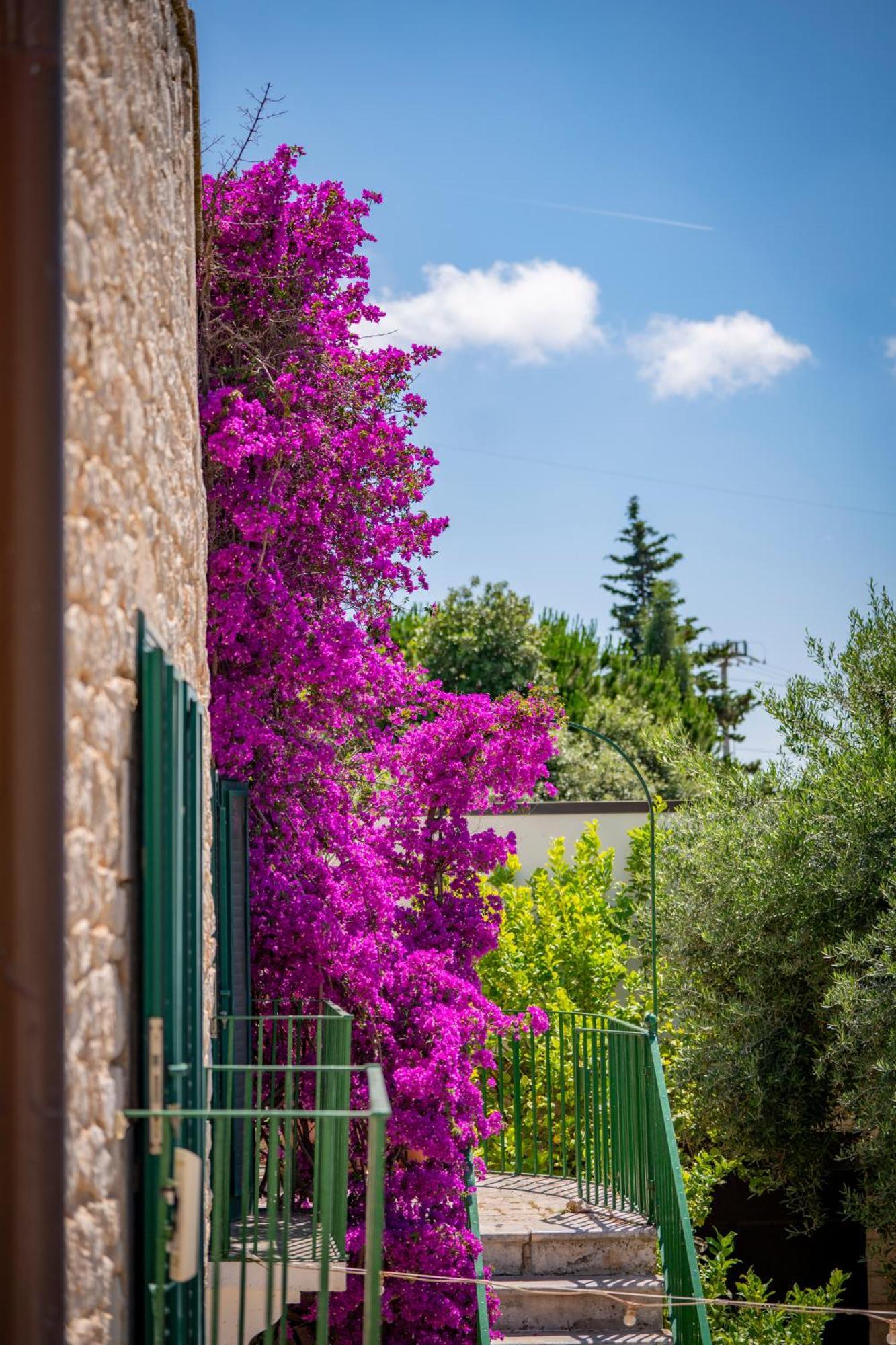 Masseria Montepaolo Dimora Di Charme Конверсано Екстер'єр фото